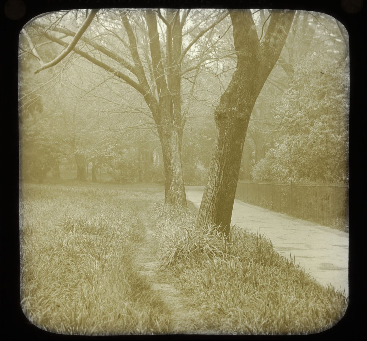 In Fitzroy Gardens, Melb. [i.e. Melbourne], East Melbourne (1890–1938)