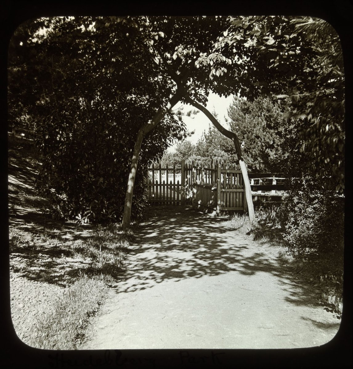 Heidelberg Park (1875–1938)