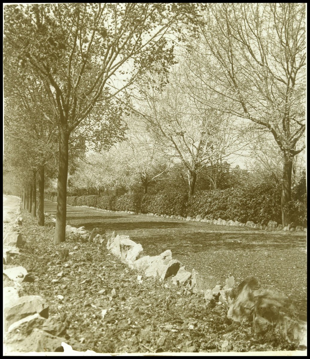 Alexandra Avenue, Melbourne, Melbourne City (1880–1938)