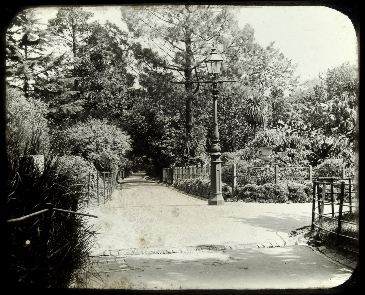 "Fitzroy Gardens, Melbourne", East Melbourne (c. 1900)