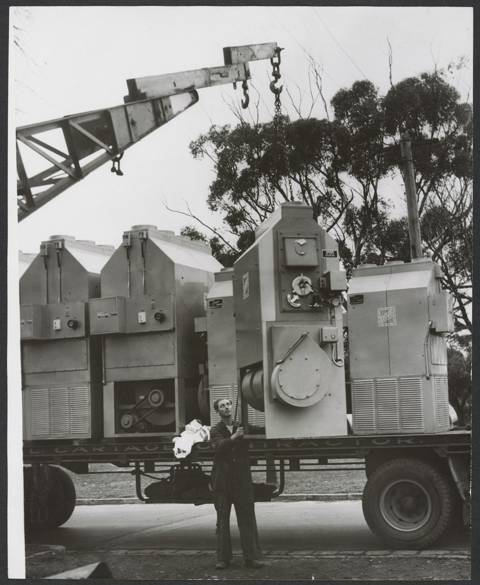 Chimpanzees and other primates at Australian zoos, mainly Melbourne zoo, Parkville (1937–54)