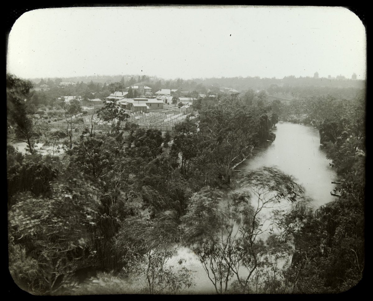 River Yarra, Studley Park, Kew (c. 1900)