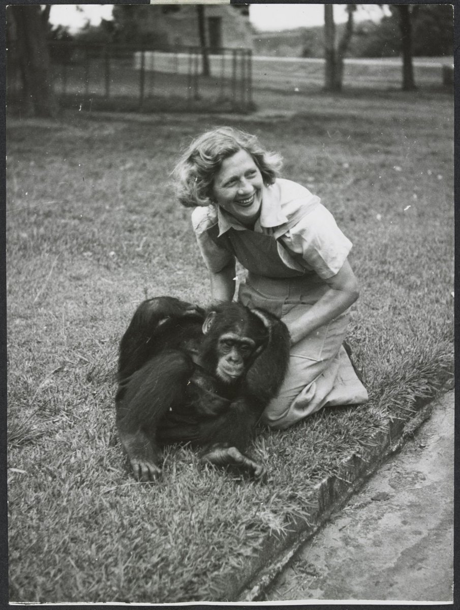 Chimpanzees and other primates at Melbourne Zoo, Parkville (1929–50)