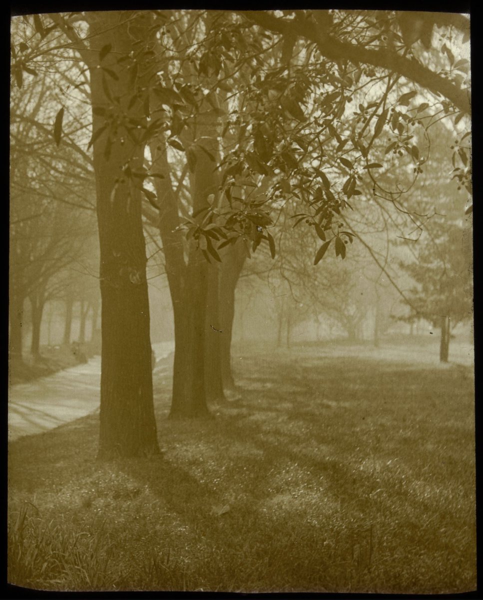 Fitzroy Gardens Melb. [i.e. Melbourne], East Melbourne (1875–1938)