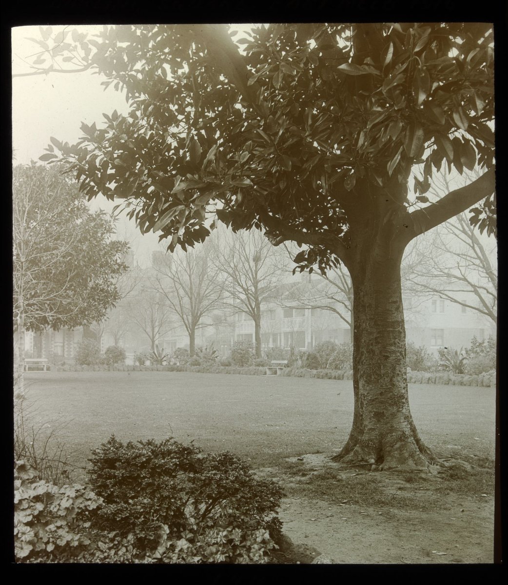 Darling Square. East Melb. [i.e. Melbourne] 1916, Malvern East