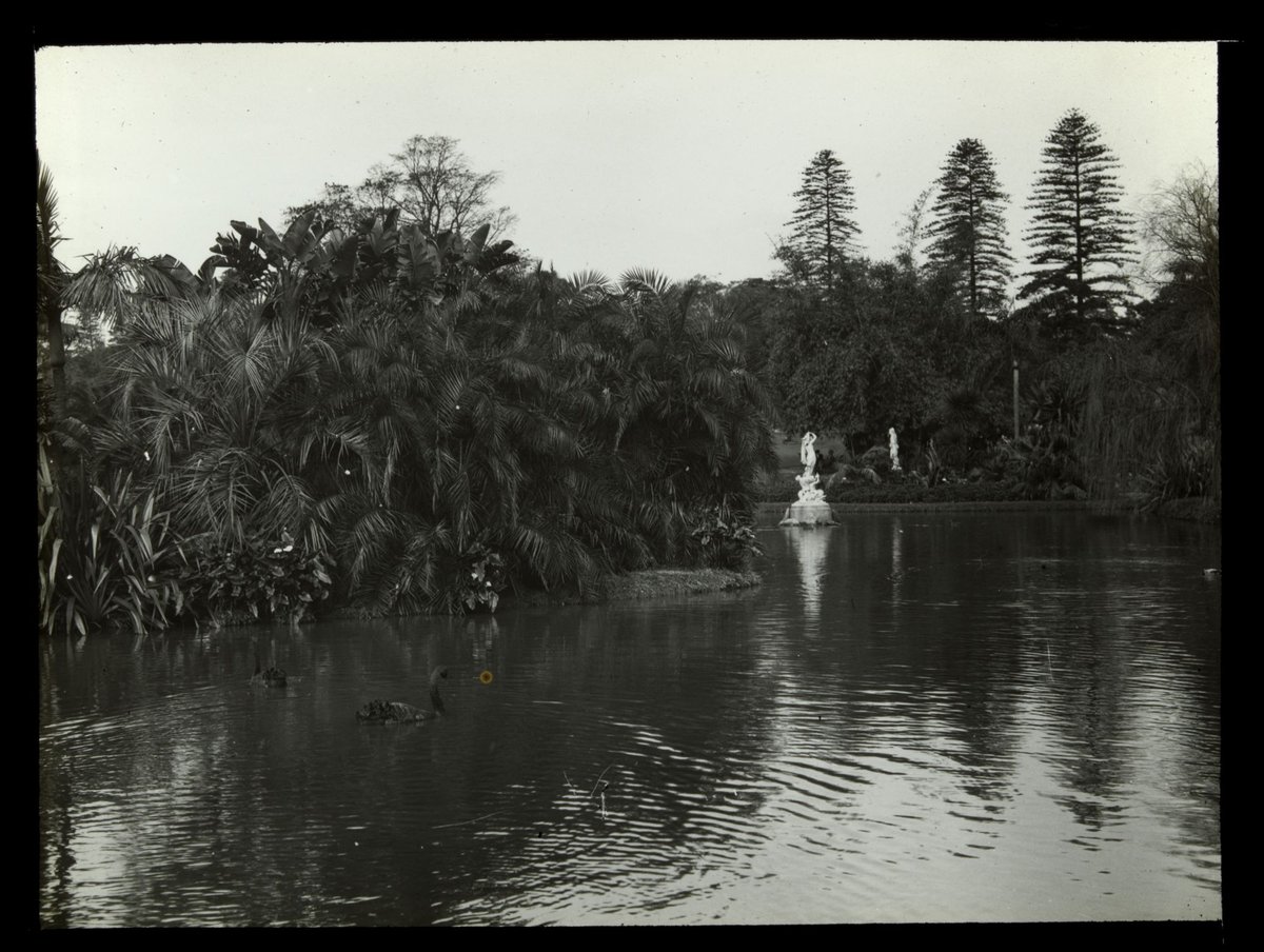 Botanical Gardens, Melb. [statue and lake], Melbourne City (1900–25)