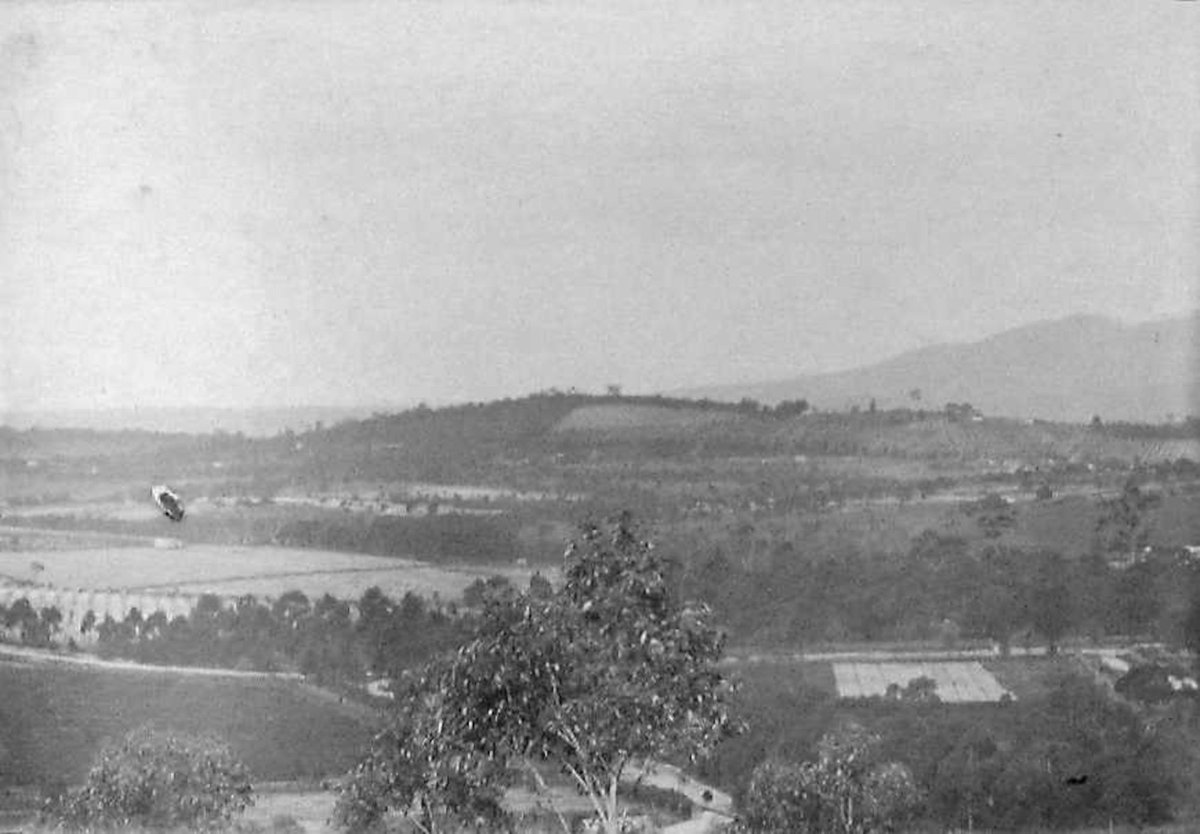View near Ringwood, 15 miles from Melbourne (c. 1895)