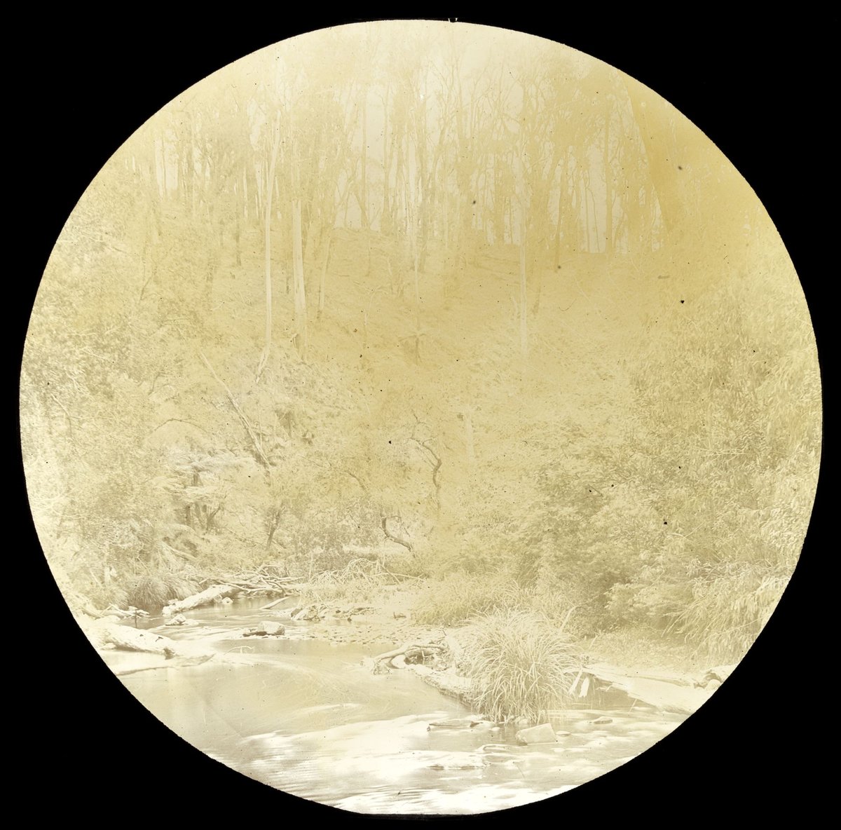 Yarra River near it's source, country Victoria (1909)