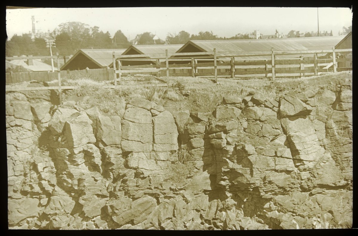 Basalt jointing, Richmond Quarry (1875–1938)
