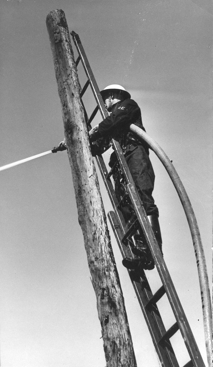 Footscray Auxiliary Fireman on ladder using firehose (1939–45)