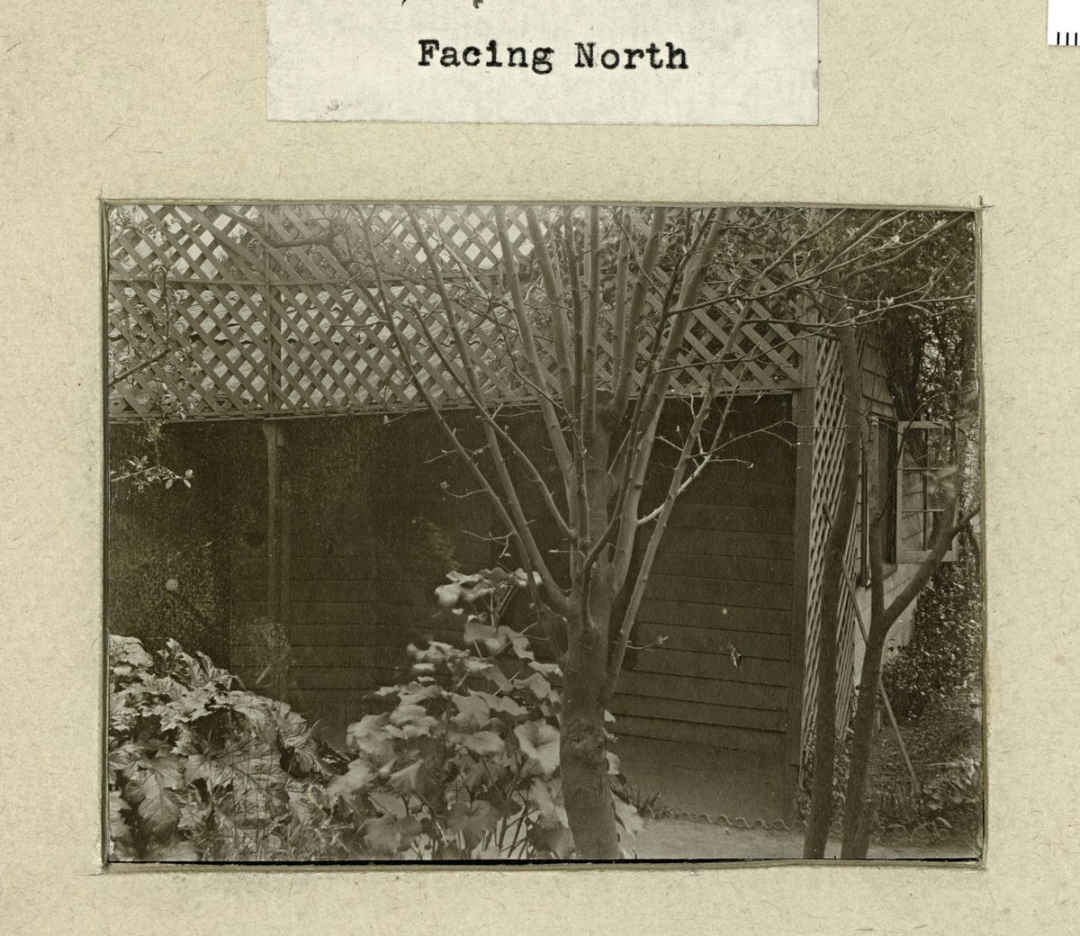 Four views of the Detached Cottage originally part of Governor La Trobe's residence at Jolimont (c. 1937)