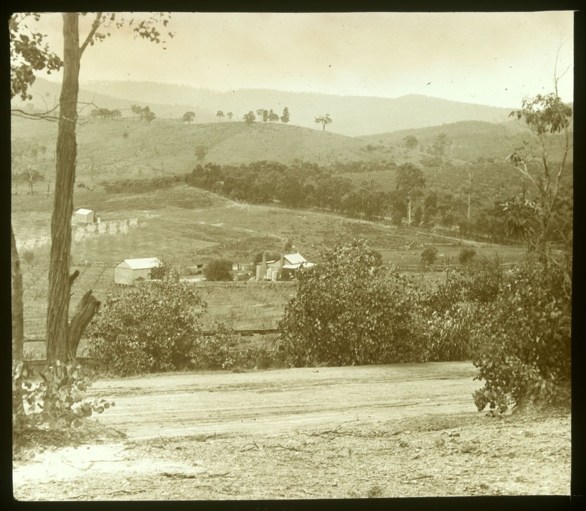 At Diamond Creek (1875–1938)