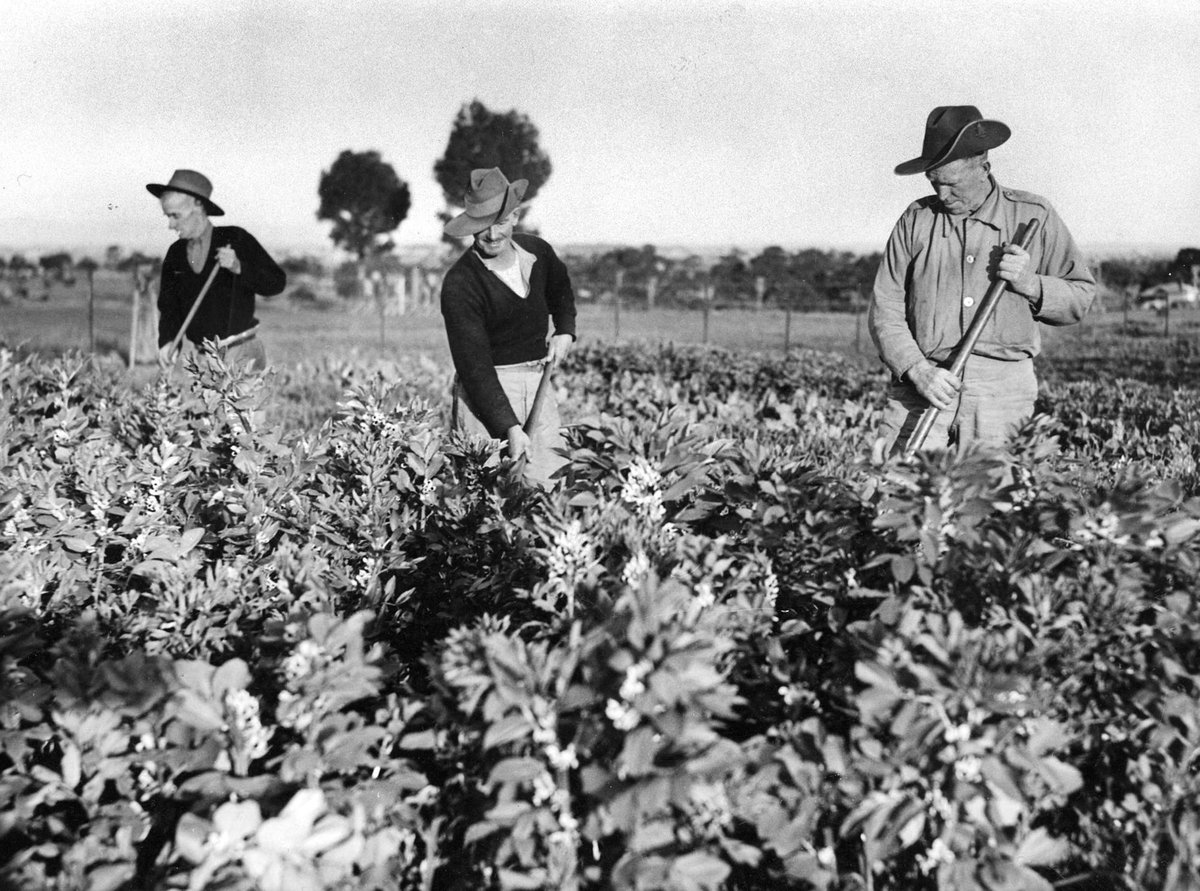 Garden at Broadmeadows Depot (c. 1941)
