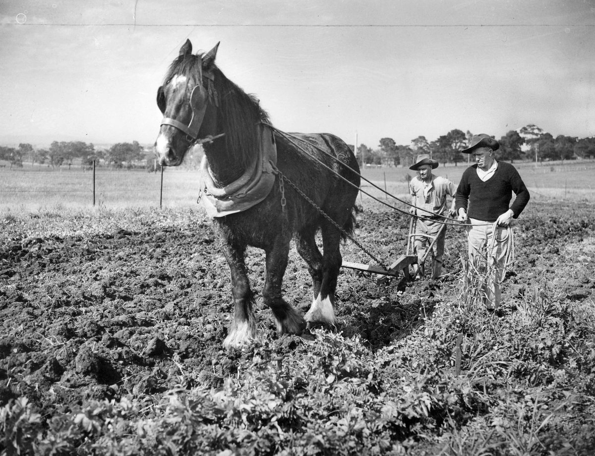 Garden at Broadmeadows Depot (c. 1941)