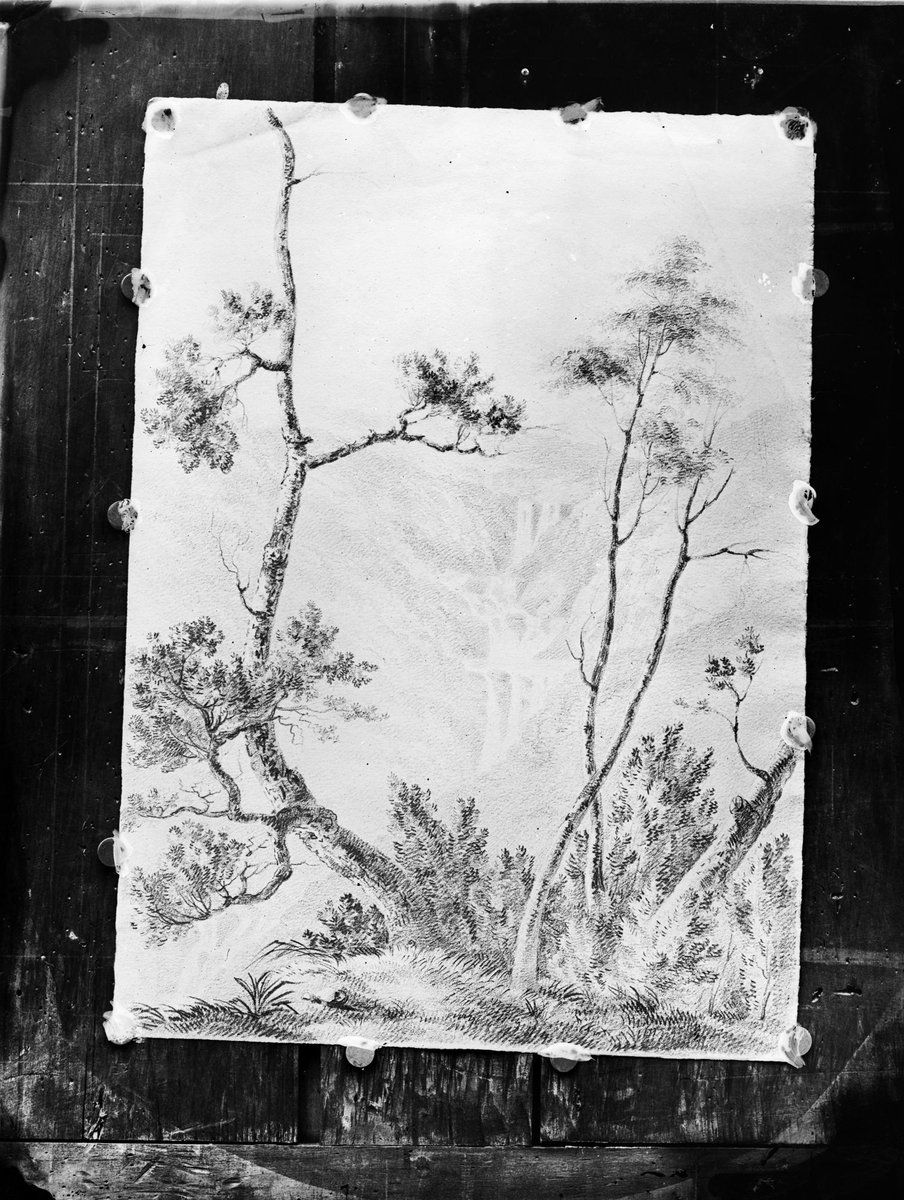Glass plate negatives from Shillinglaw Esq. the Australasian Office Melbourne (1850)