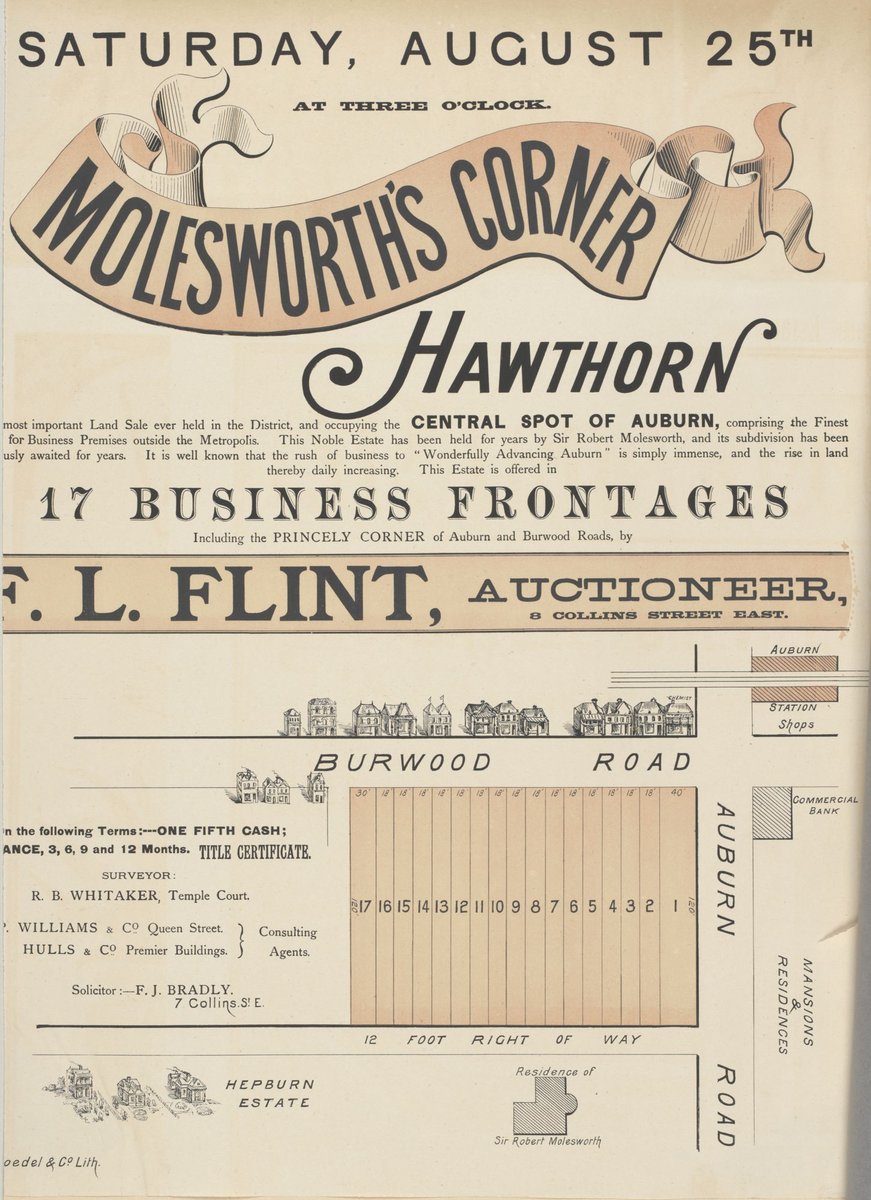 Molesworth's Corner, Hawthorn [Auction notice] (1883)