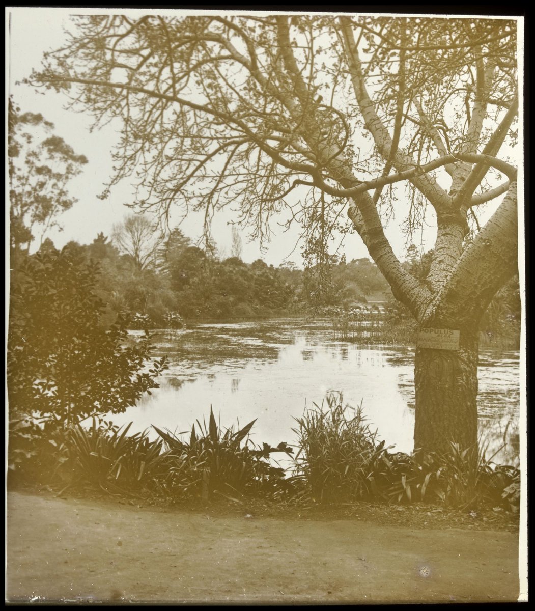 Lake in Melbourne Botanical Gardens, Melbourne City (1875–1938)