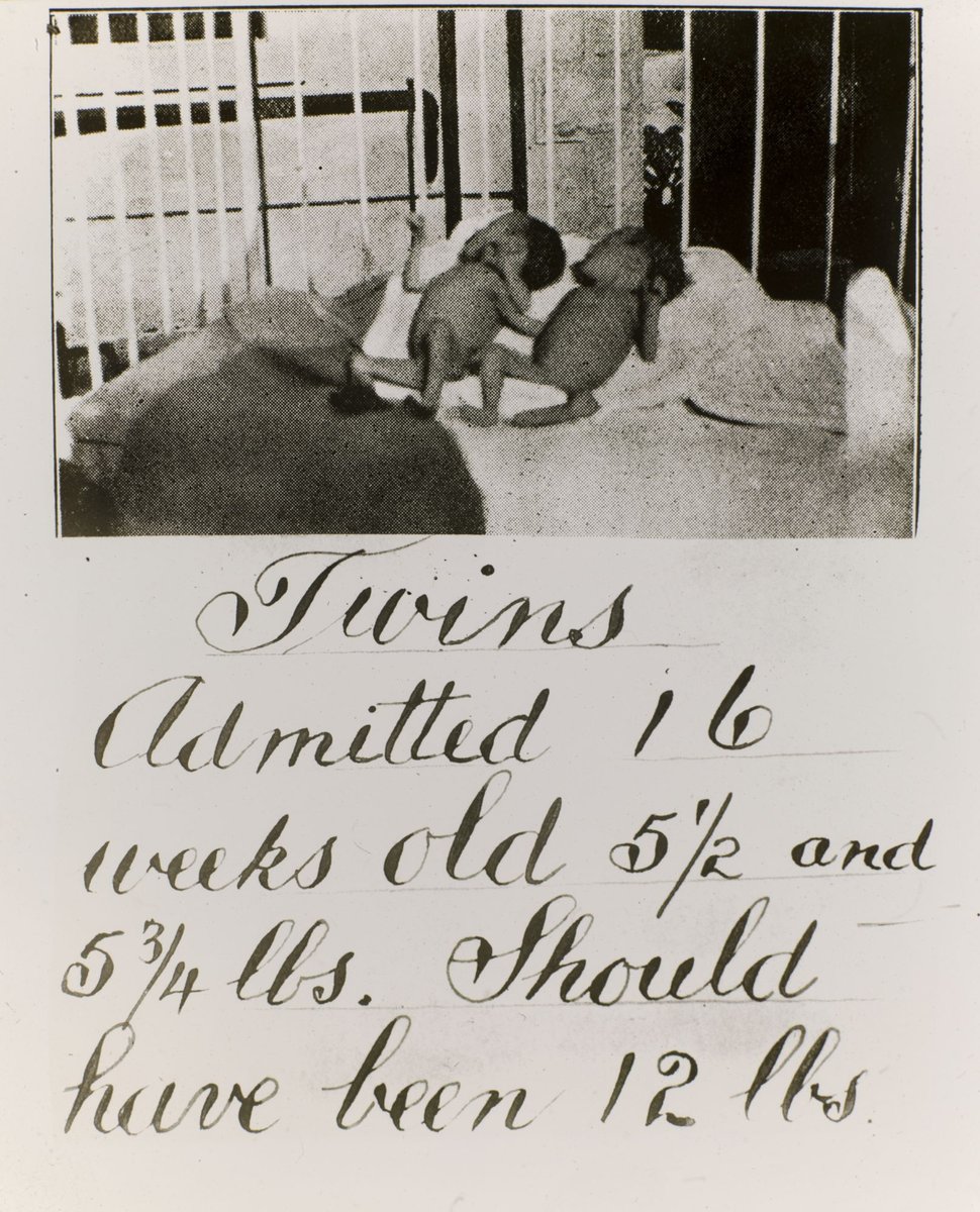 "Views of St. Andrew's Hospital, East Melbourne" (c. 1936)