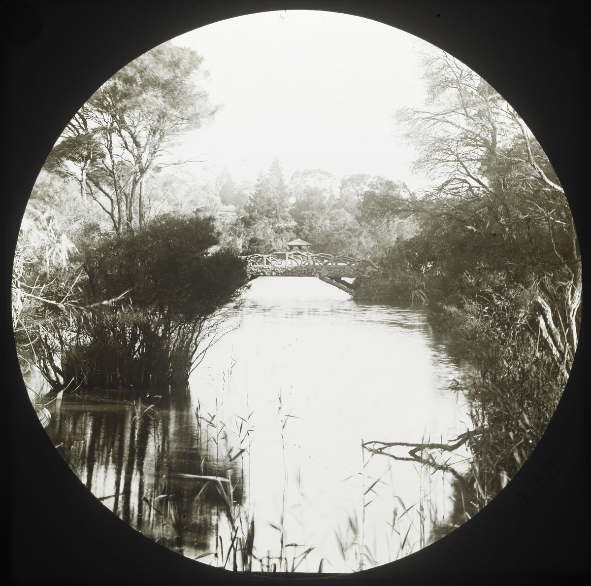 Rustic Bridge, Melb Botanic [Melbourne Botanical Gardens], Melbourne City (1875–1938)