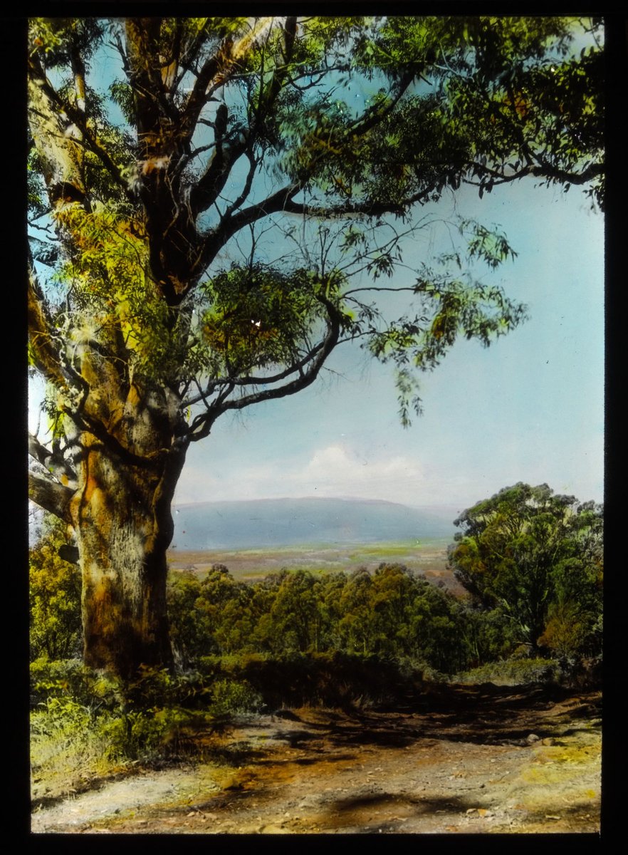 From Dandenong Ranges (1900–20)