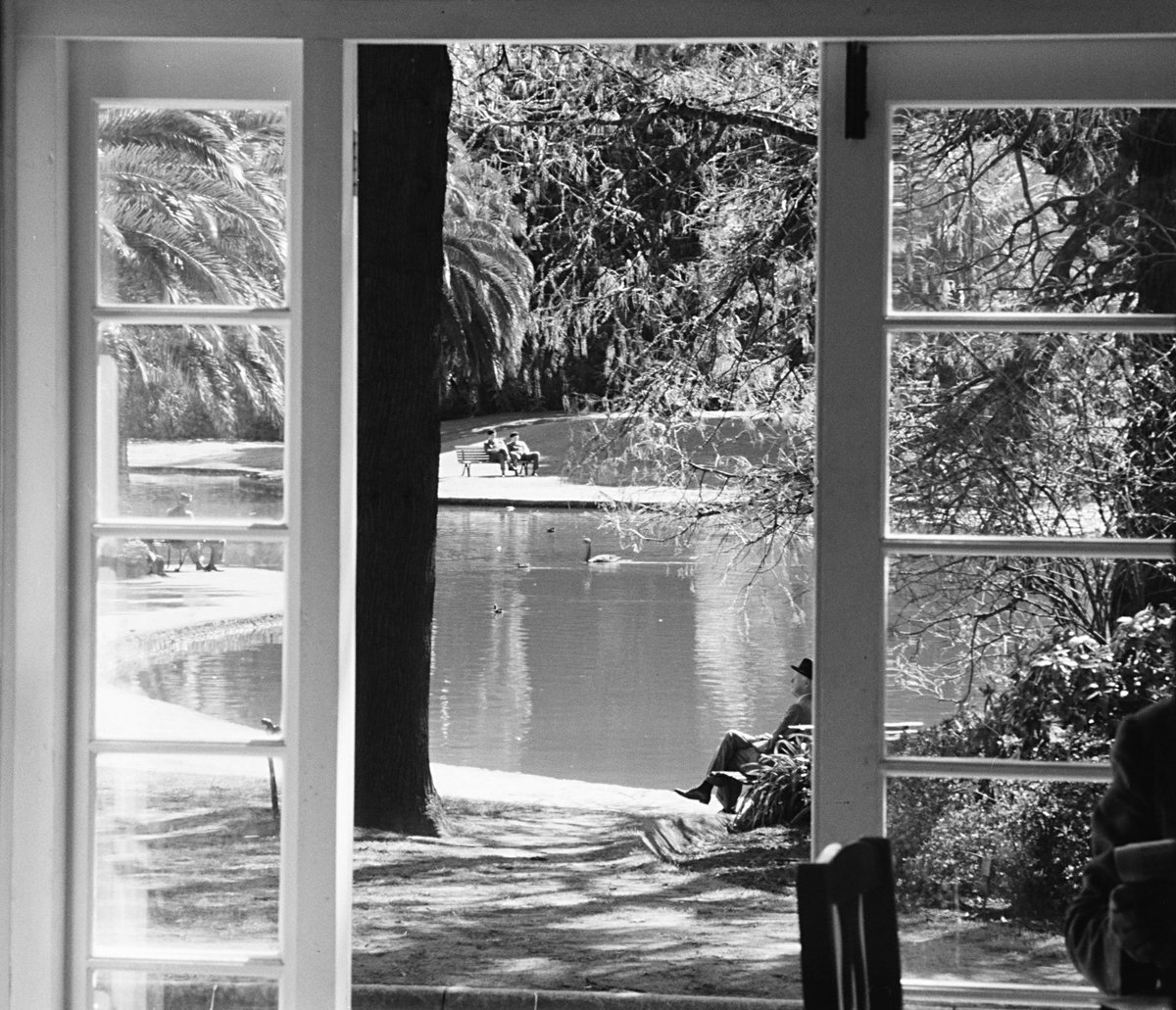 Botanical Gardens, Melbourne, Melbourne City (1954)