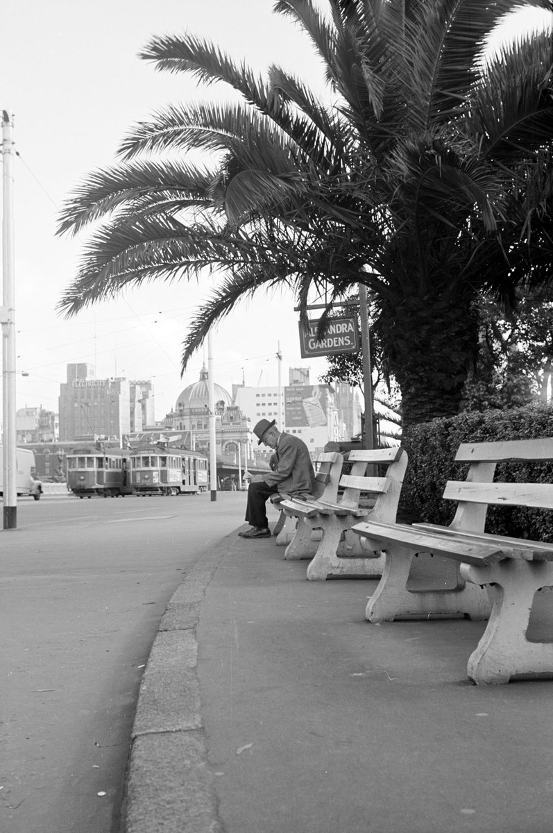 Man sitting on park bench next to St. Kilda Road, near entrance to Alexandra Gardens, Melbourne, Melbourne City (1954)