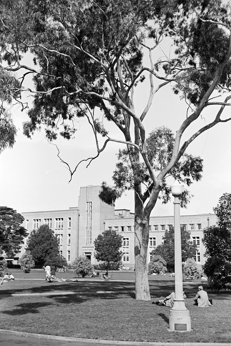 University of Melbourne buildings, Parkville (1954)