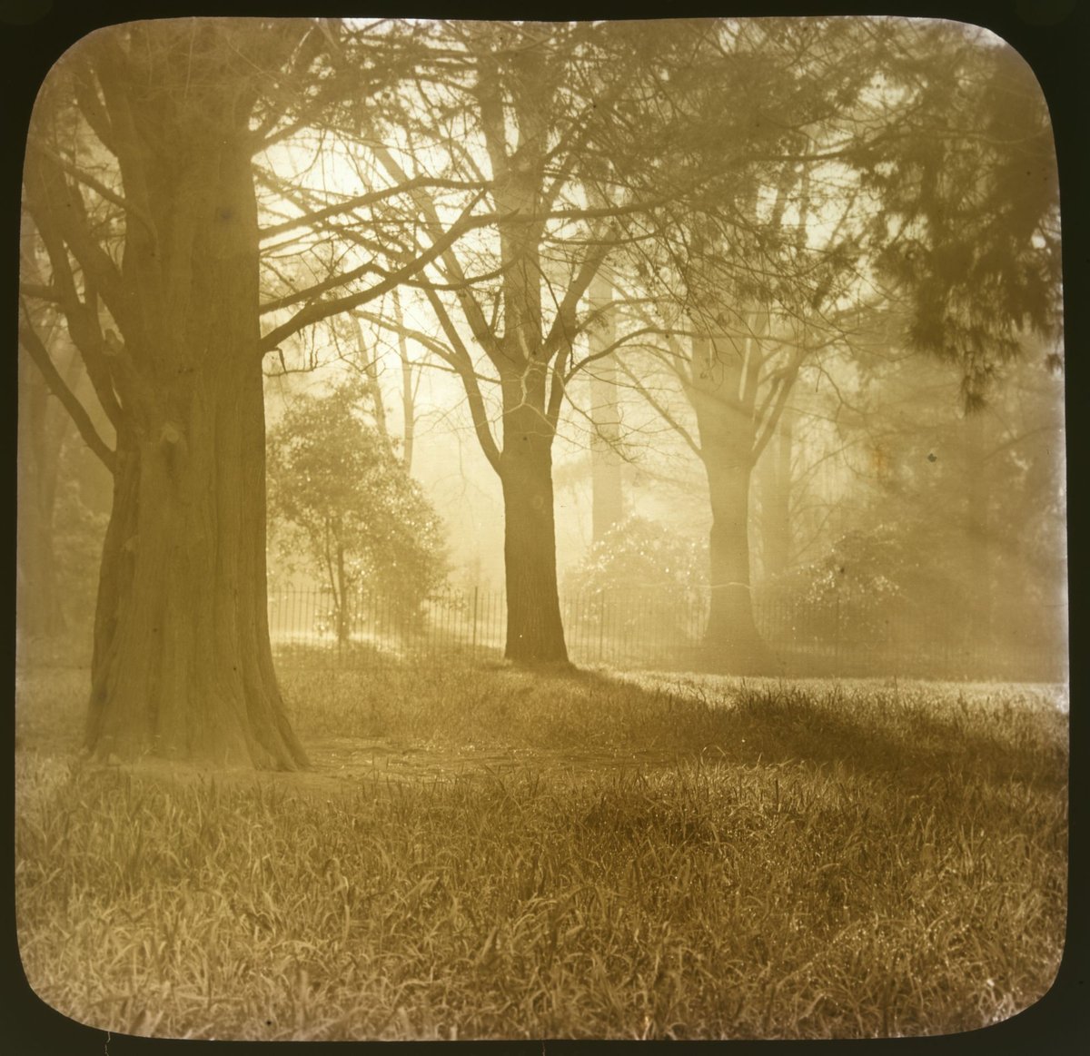 Fitzroy Gardens, Melbourne, East Melbourne (1875–1930)