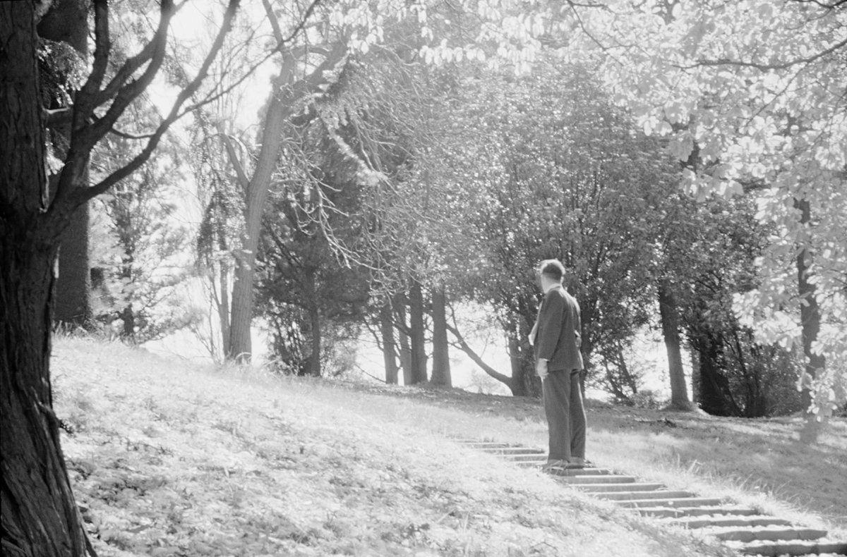 Path with steps in Royal Botanic Gardens, Melbourne, Melbourne City (1954)