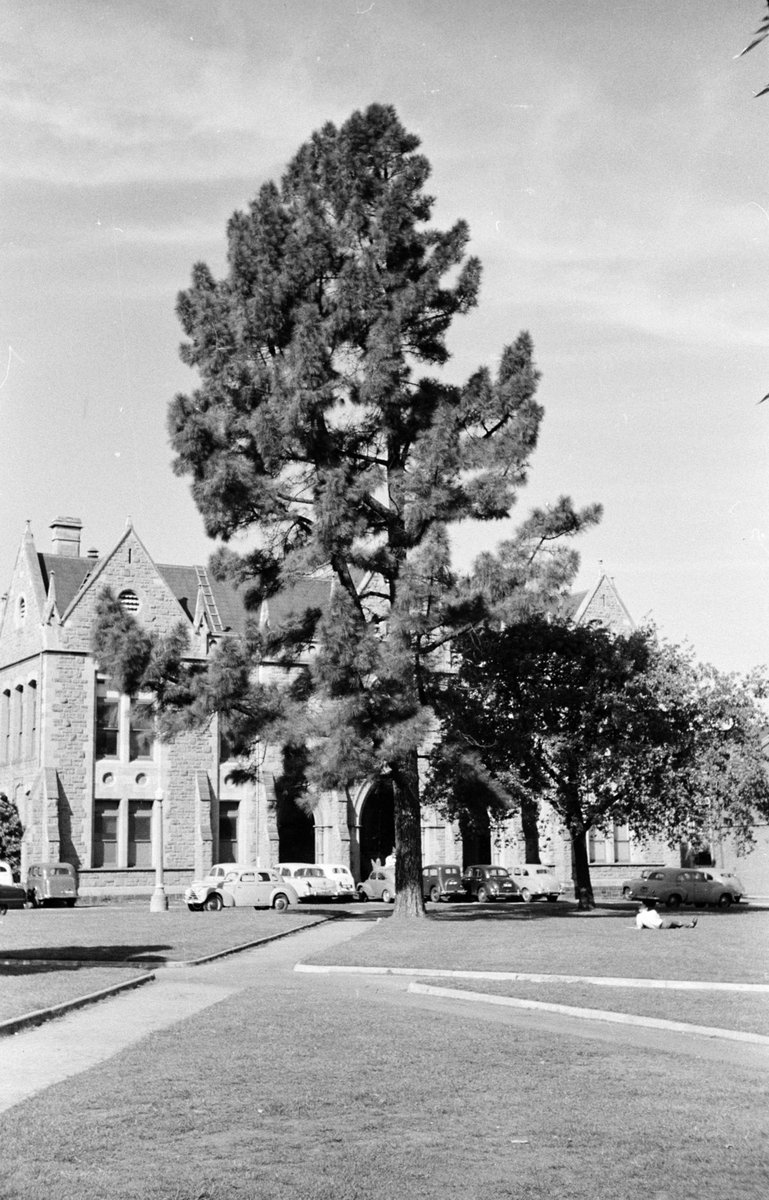 University of Melbourne buildings, Parkville (1954)