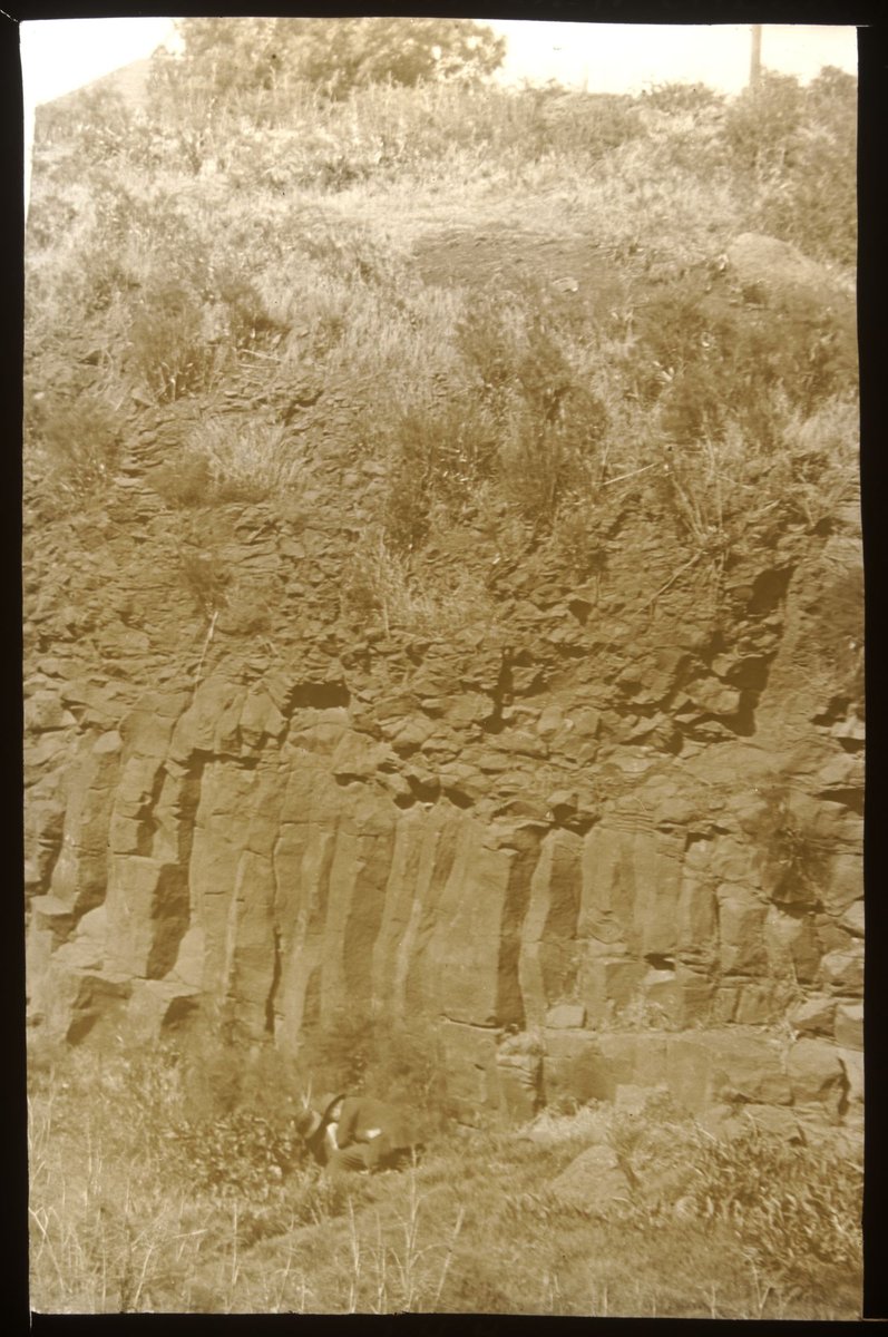 Basaltic columns, Merri Creek, Melb, Melbourne (1875–1938)