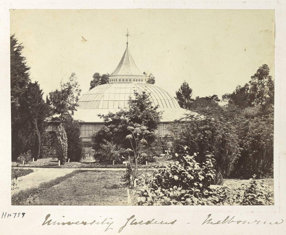 University gardens - Melbourne (c. 1870)