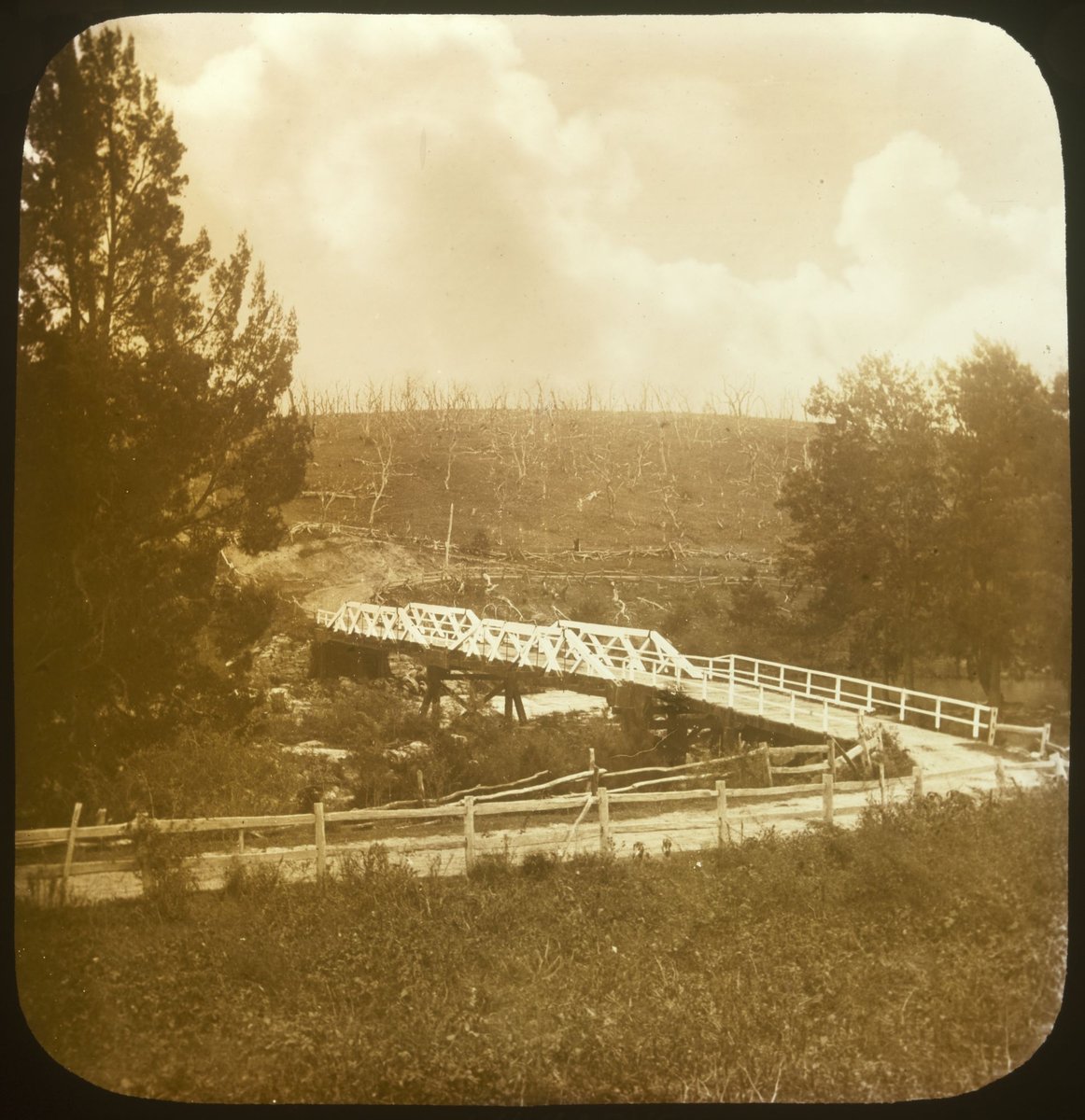 Fitzroy Bridge near Cox's River, Blue Mts [i.e. Mountains] (1875–1938)