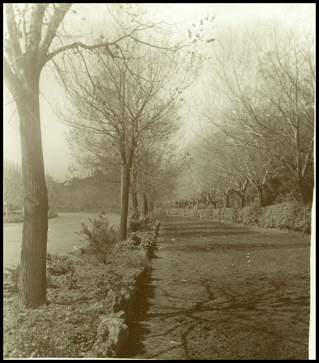 Alexandra Avenue, Melbourne, Melbourne City (1880–1938)