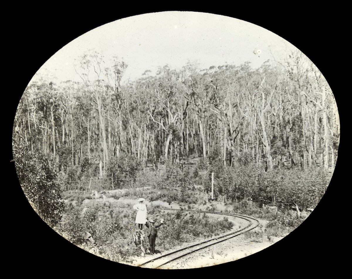 Man and woman standing by railway track, possibly the Dandenong Ranges (1909)