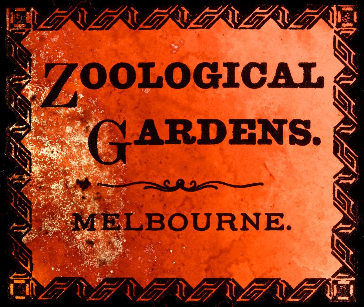 [Title Slide] Zoological Gardens, Melbourne, Parkville (c. 1900)