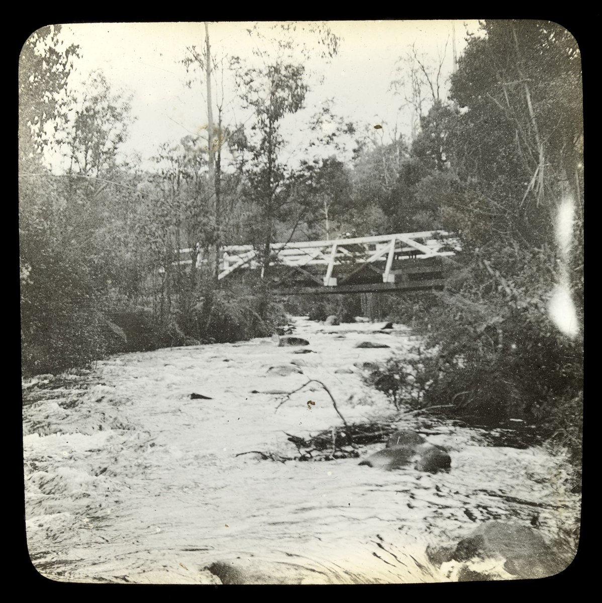 Wooden bridge over Yarra river in country Victoria (1909)