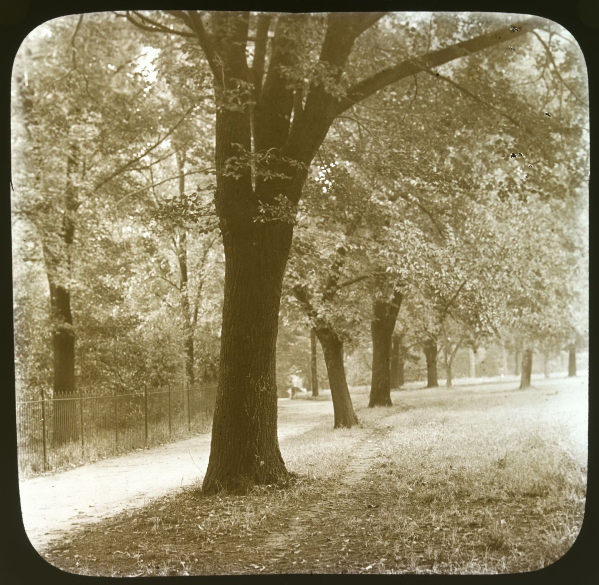 Fitzroy Gardens, Melbourne, East Melbourne (1875–1930)