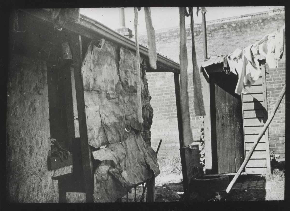 Collingwood back yard (c. 1935)