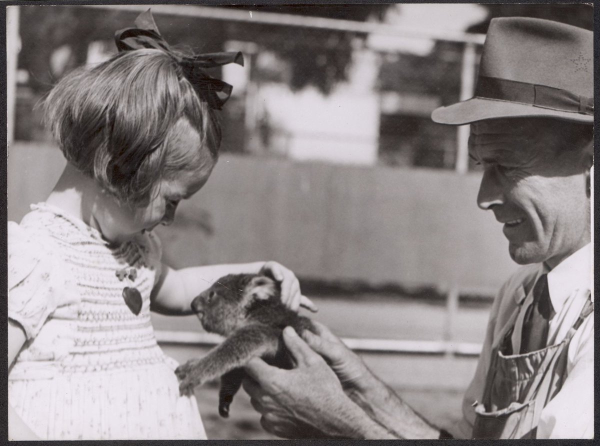 Janice Robinson and Jack Pinches at Melbourne zoo with baby koala, Parkville (1944)