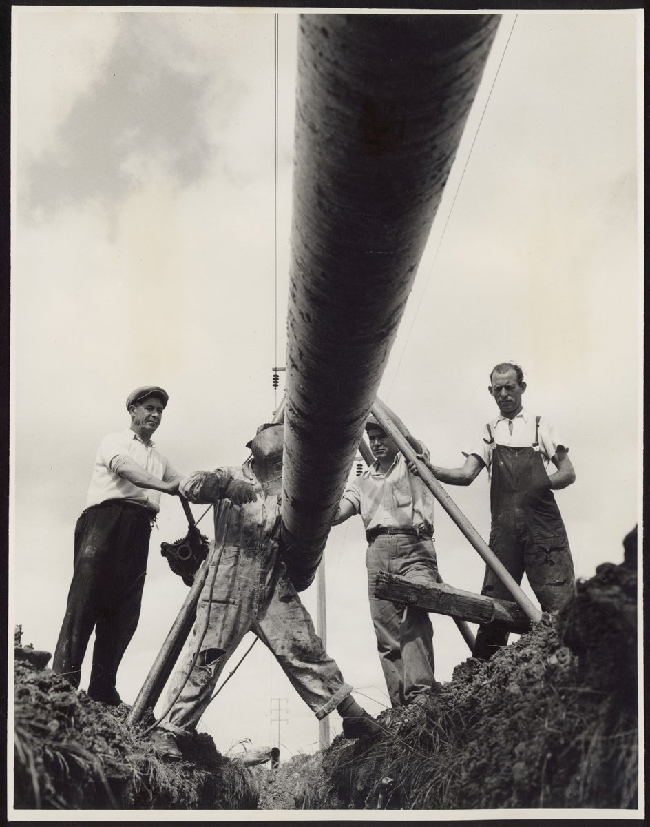 "Construction of 36-mile oil pipeline, running underground from the Shell Refinery at Corio to the Company's Newport installation" (1953?)
