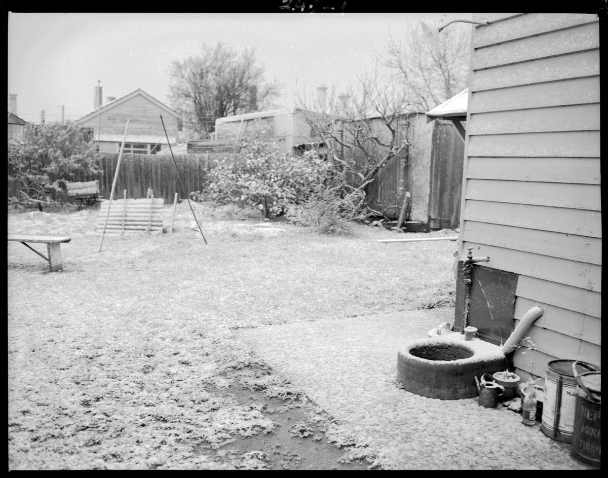 Snowfall in suburban Melbourne. Home of Alan Cannon, Caulfield, Melbourne (1951)
