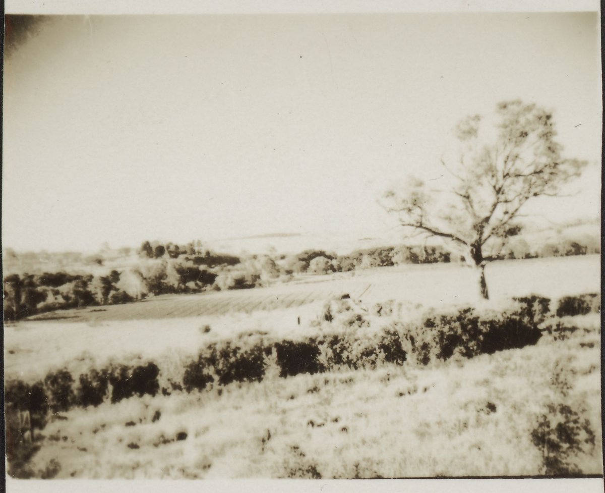 Heidelberg '43 (1943)