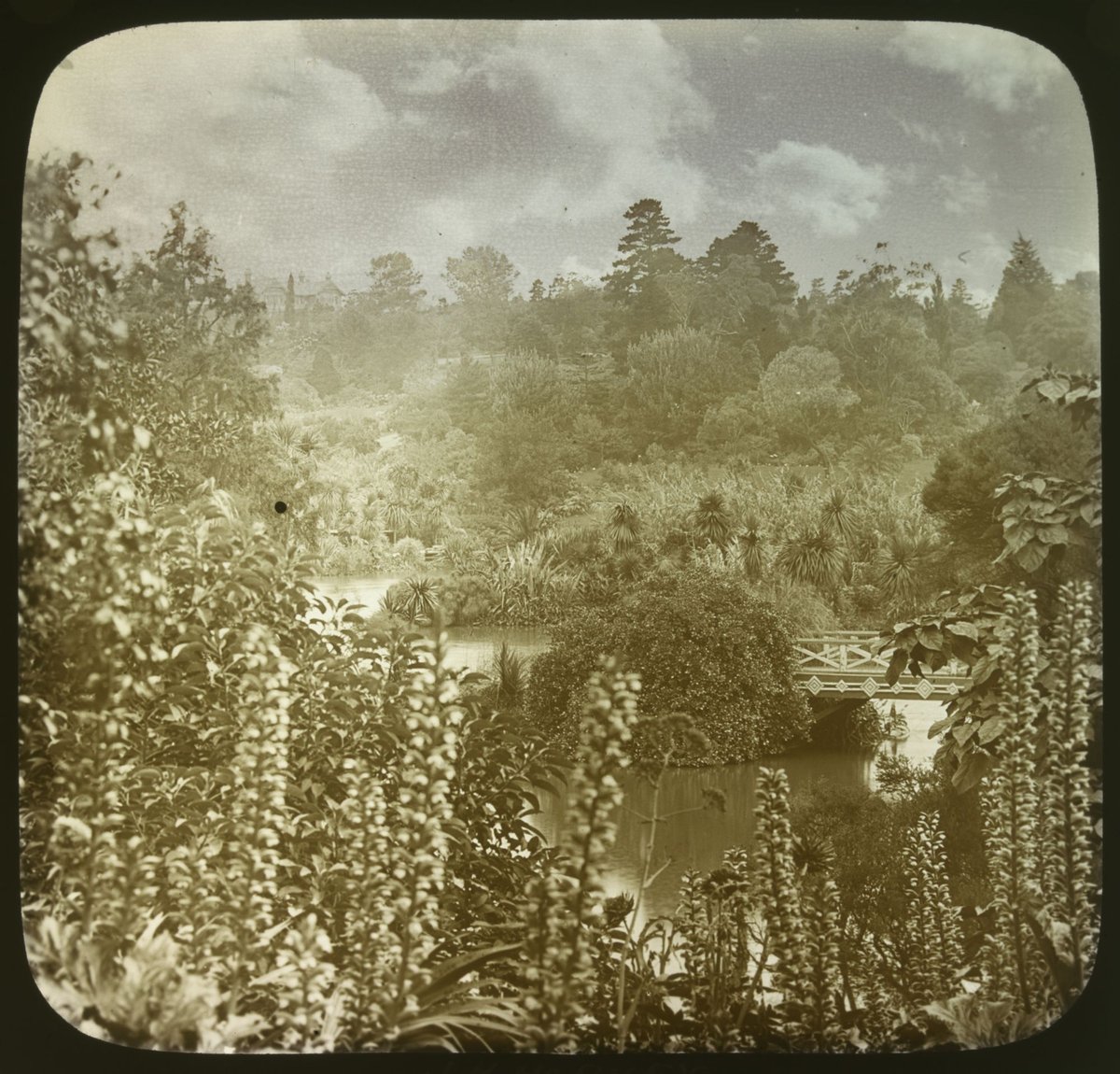 Botanical Gardens, Melbourne 1920, Melbourne City
