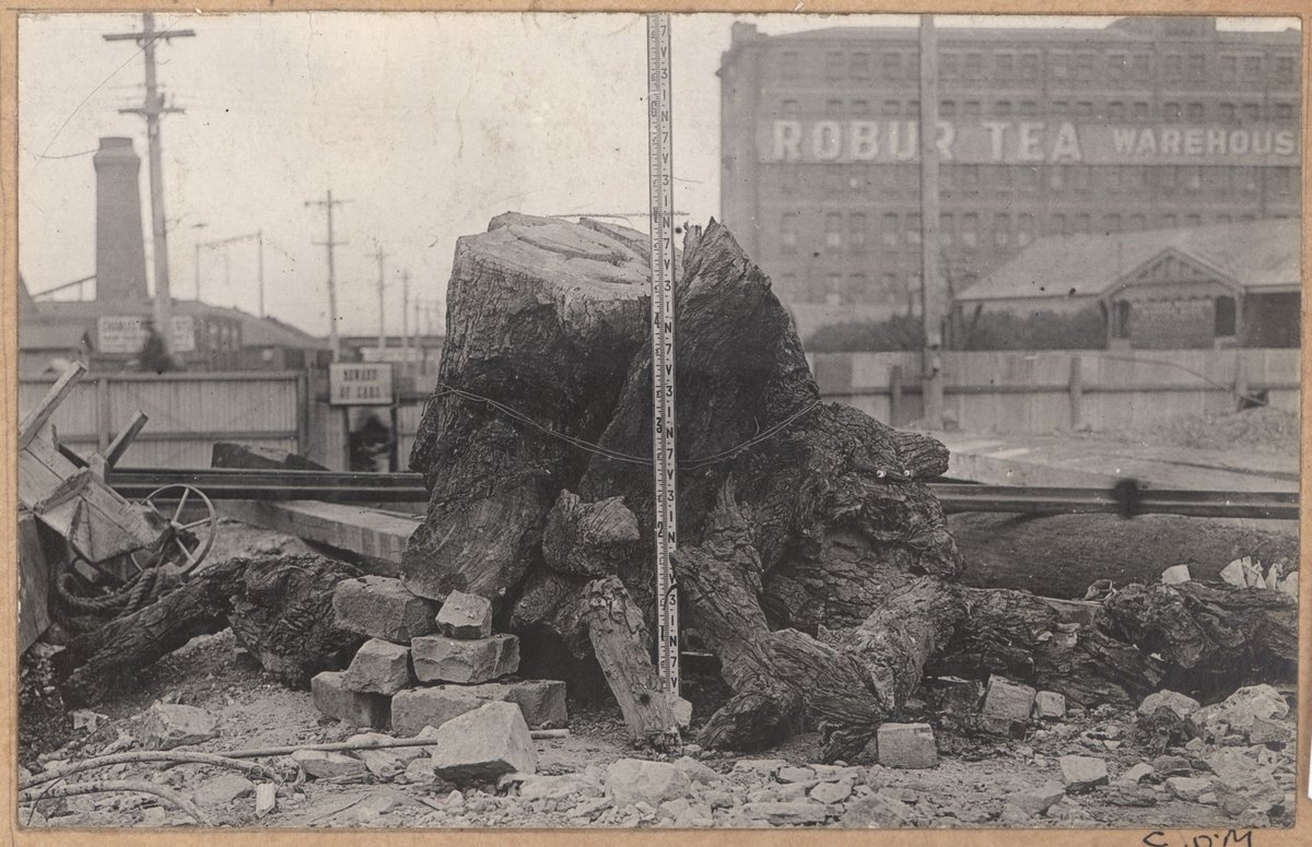 Spencer Street bridge - south abutment, Melbourne City (1928)