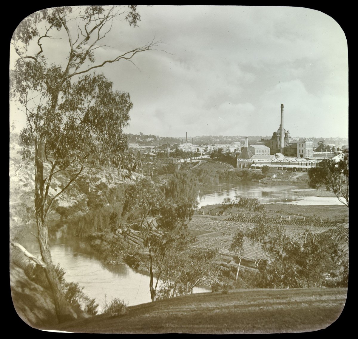The Yarra at Studley Park, Kew (1875–1938)