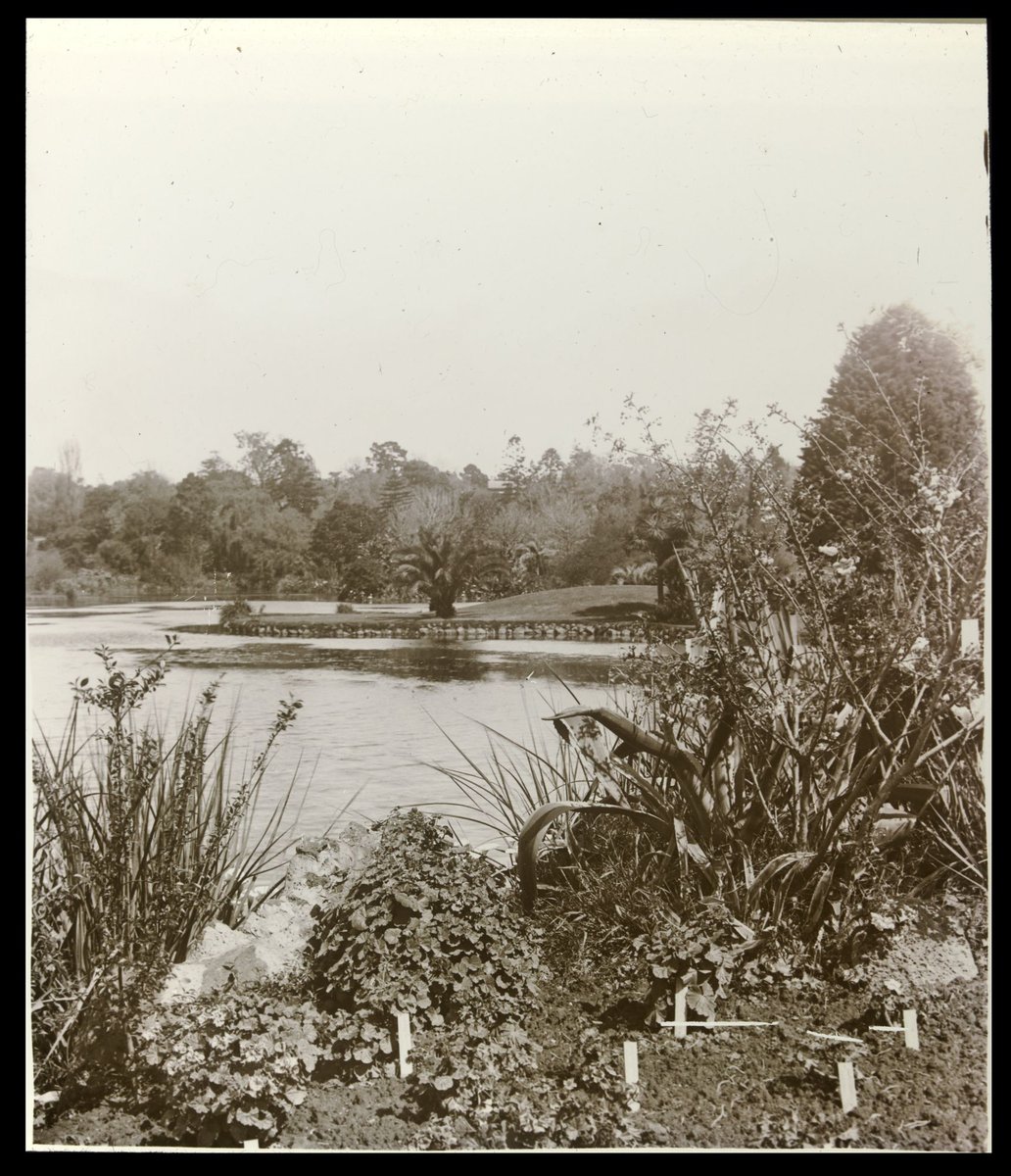Lake, Botanical Gardens, Melbourne, Melbourne City (1875–1938)