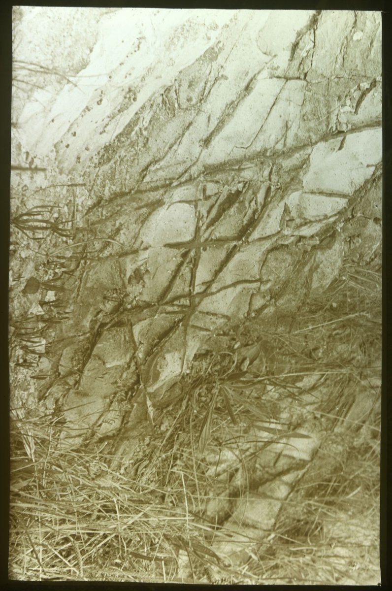 Ferruginous concretions, Heyington cutting Toorak (1875–1938)