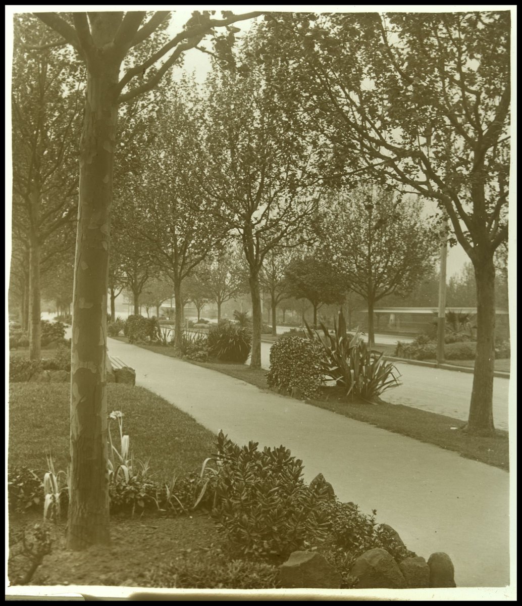 Alexandra Avenue (?), Melbourne, Melbourne City (1880–1938)