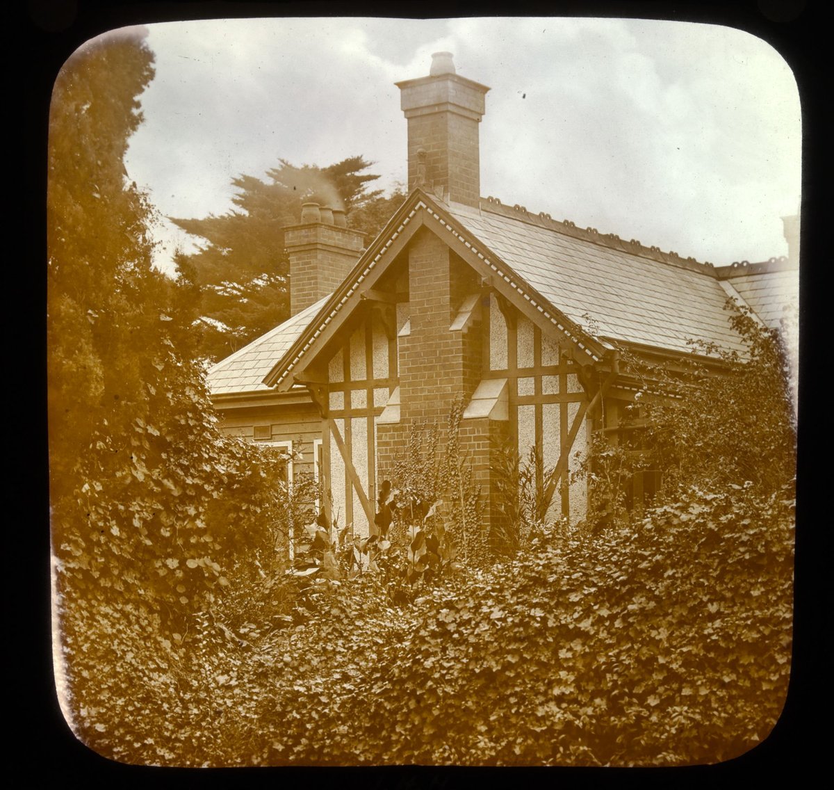 Rustic cottage - Melb. [i.e. Melbourne] (1875–1938)